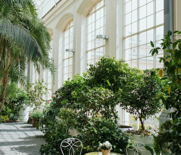 a room filled with lots of plants and tables