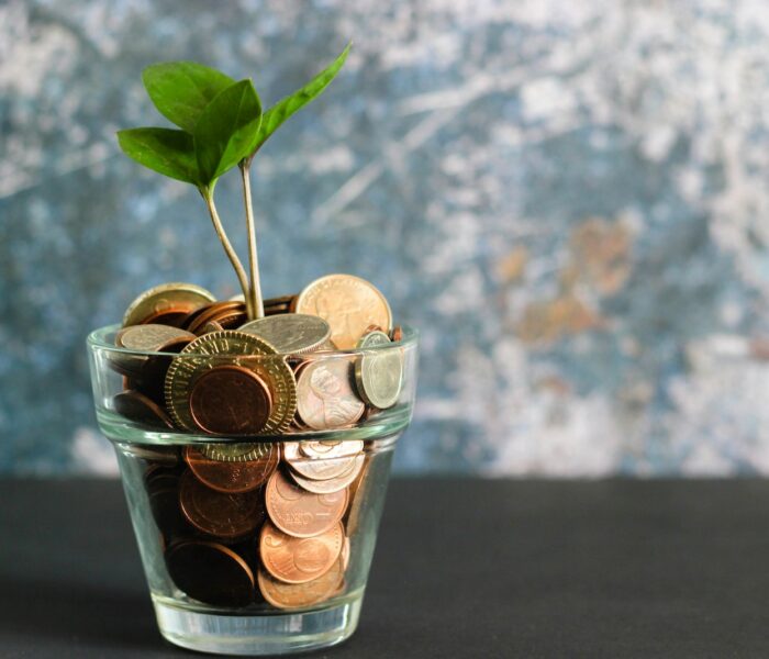 green plant in clear glass vase